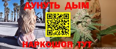 трава Абакан