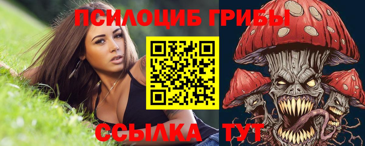 Гашиш  Cocaine  ГАШИШ  Где купить  Вход с VPN  Апатиты  Меф МЯУ МЯУ кристаллы 